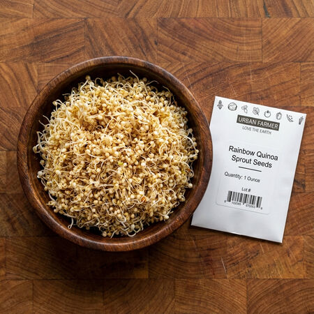 Brilliant Rainbow Quinoa, Greens - Packet image number null